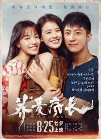 亚洲肥老太